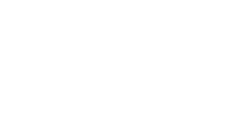 Director's Edge